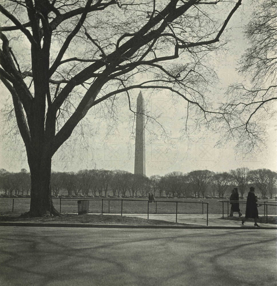 Washington, marzo 1938, scatto di Alberti